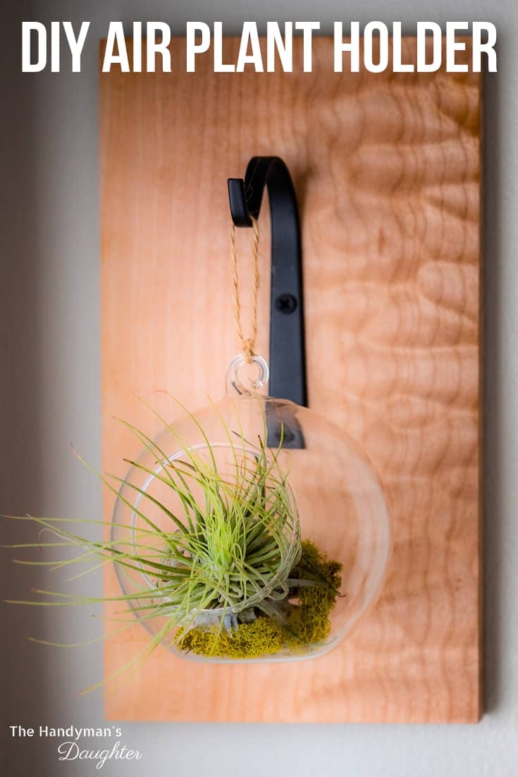 DIY hanging air plant holder