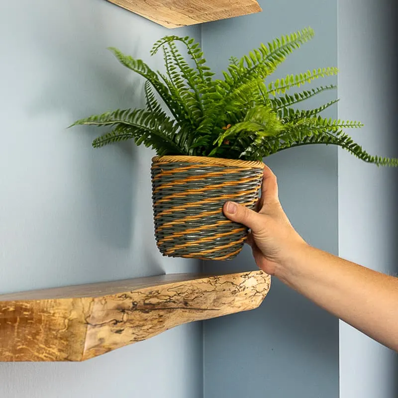 placing faux plant on live edge floating shelf