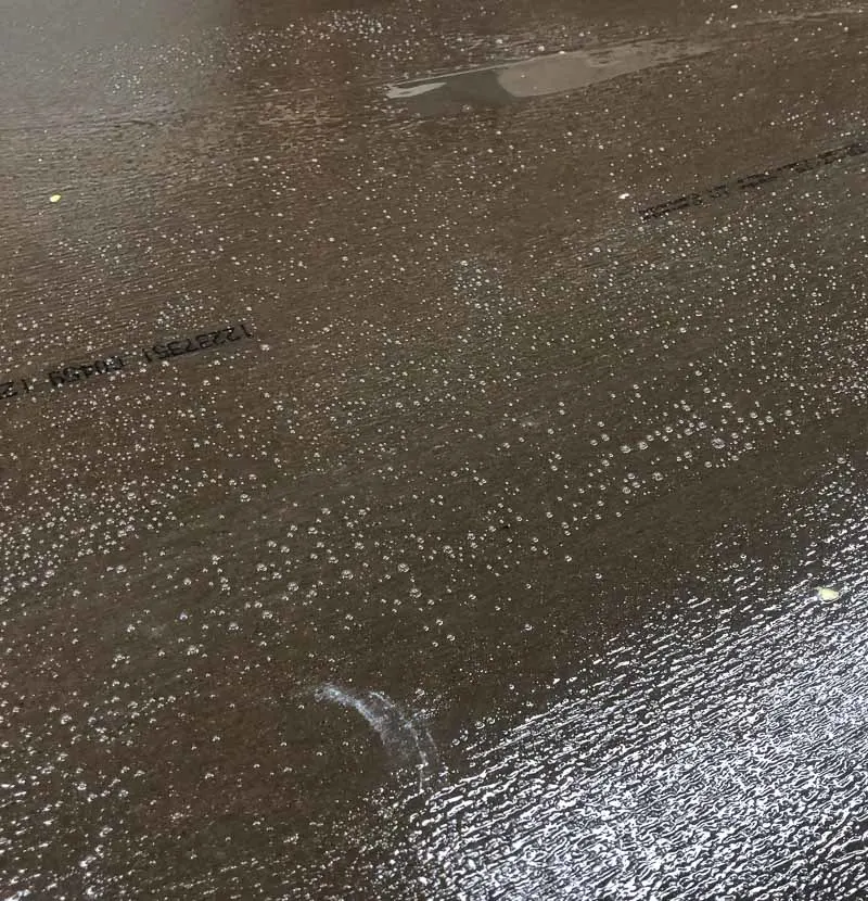 contact cement spread over laminate sheet with a foam roller