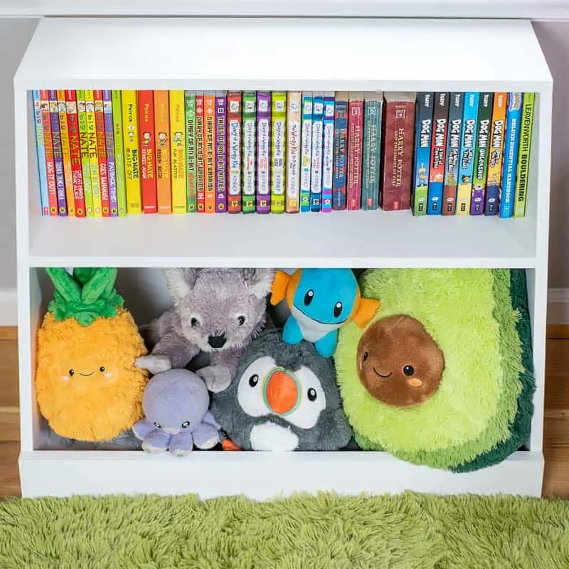 https://www.thehandymansdaughter.com/wp-content/uploads/2020/01/diy-kids-bookshelf-front-square-final.jpg.webp