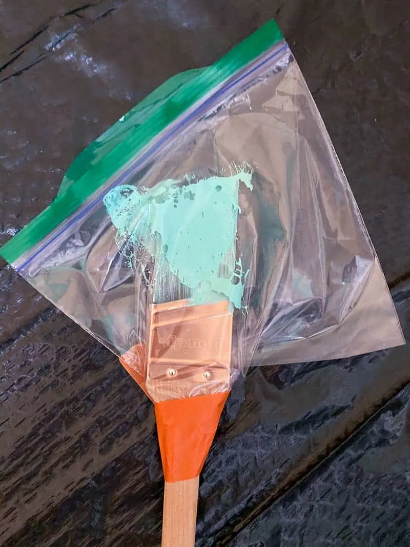 wet paint brush in sandwich bag