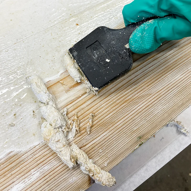 paint scraper removing paint from wood