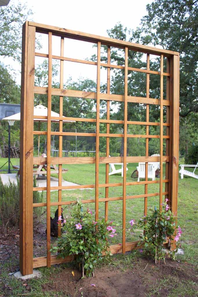 21 Diy Arbor And Trellis Ideas For Your Garden The Handyman S Daughter - Diy Garden Trellis Arch