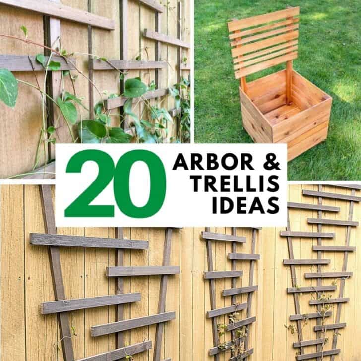 DIY arbor and trellis ideas