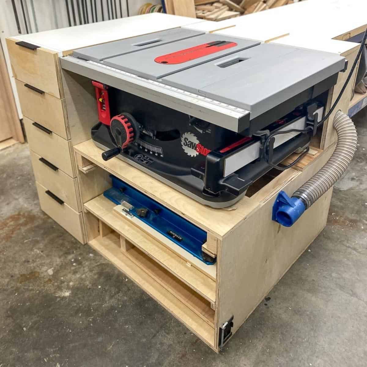 DIY table saw stand with storage