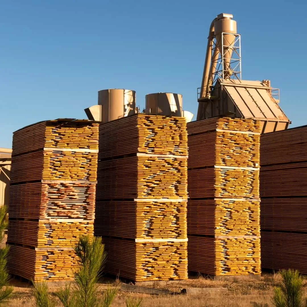 lumber mill with stacks of 2x4s outside