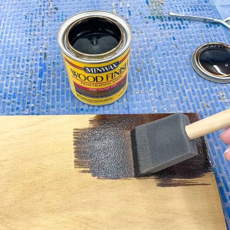 applying dark walnut wood stain to plywood with a foam brush