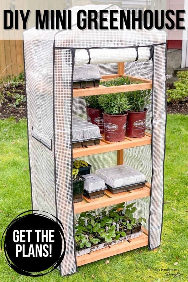 DIY Mini Greenhouse for Your Deck or Patio The Handyman's Daughter
