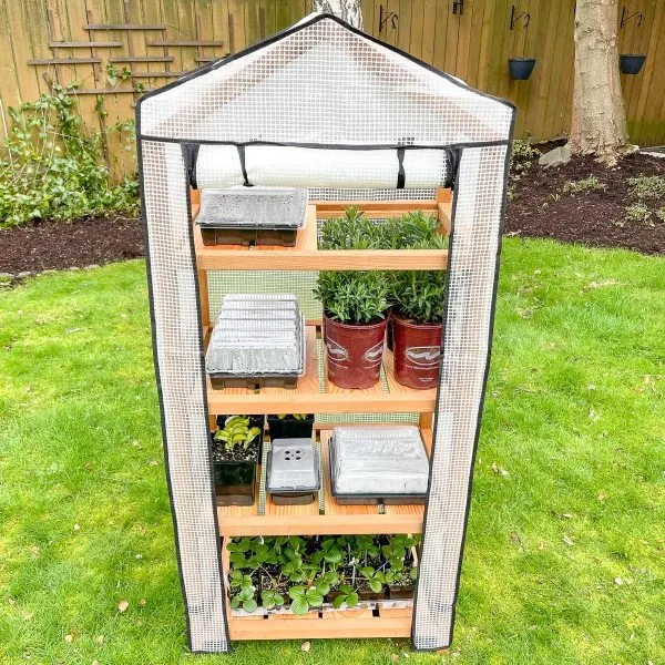 DIY greenhouse front view