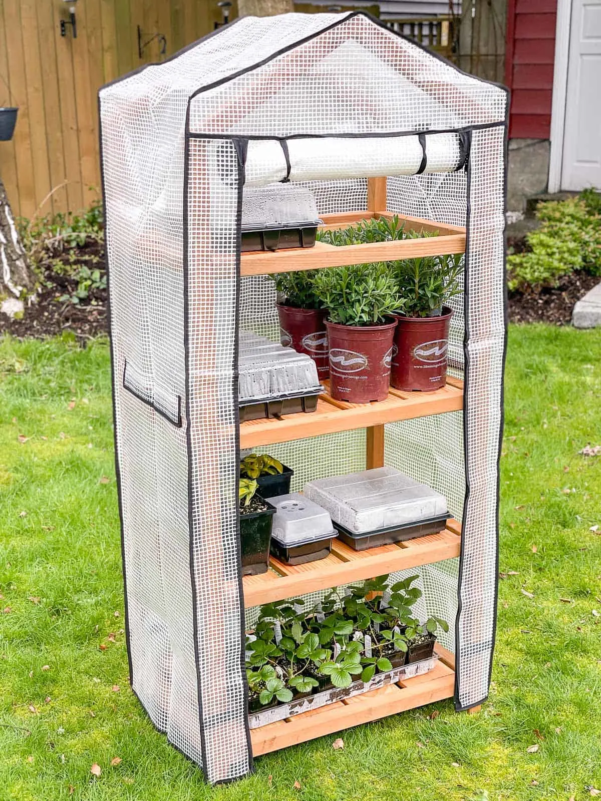 DIY tall greenhouse with cover
