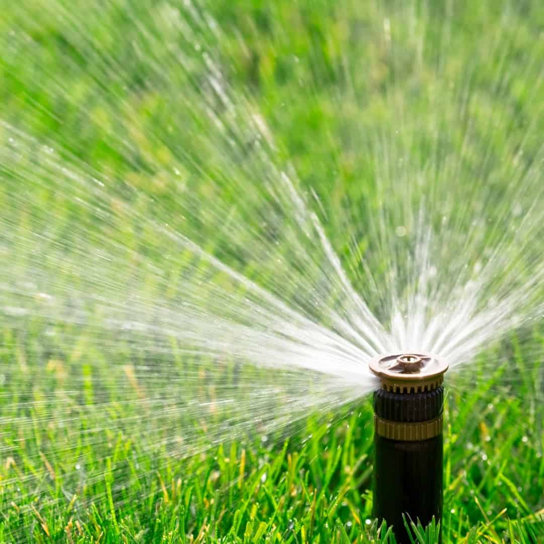 sprinkler spraying water on lawn