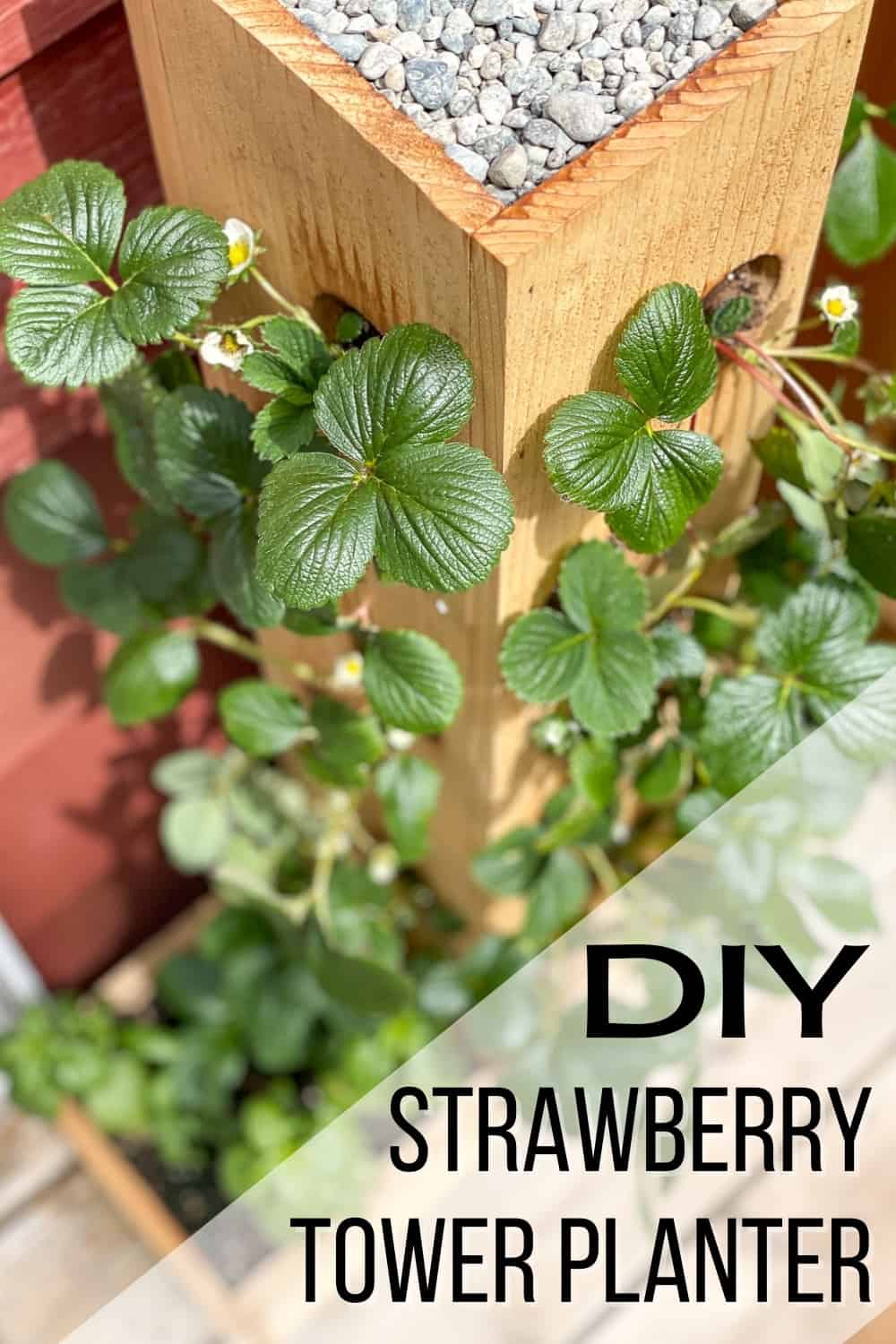 DIY strawberry tower planter