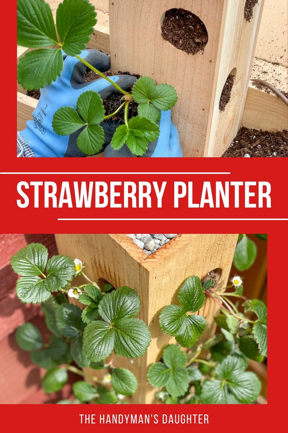 DIY strawberry planter box