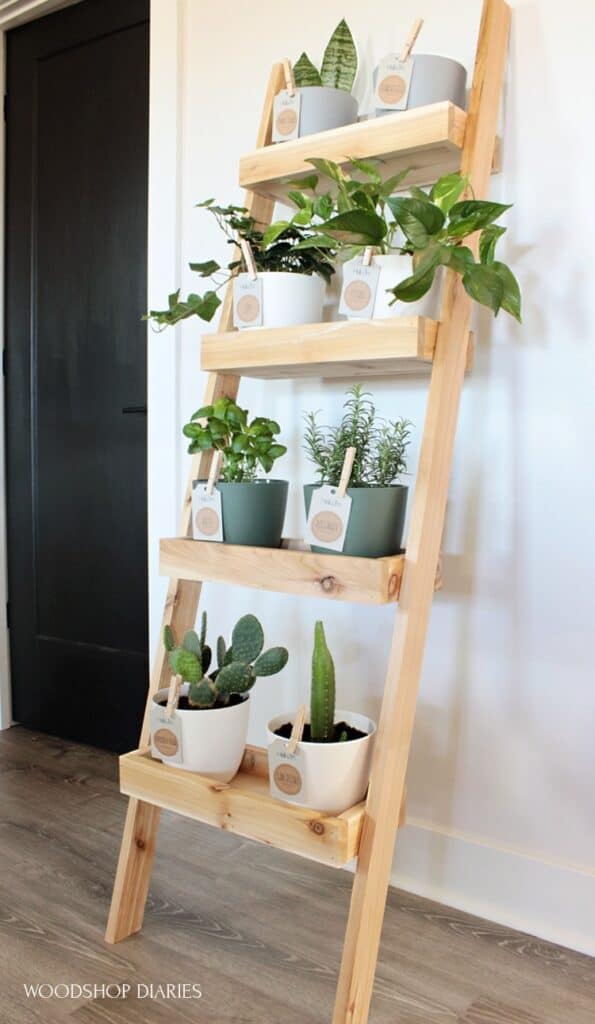 20 Amazing DIY Plant Stand Ideas for Your Home - The Handyman's Daughter