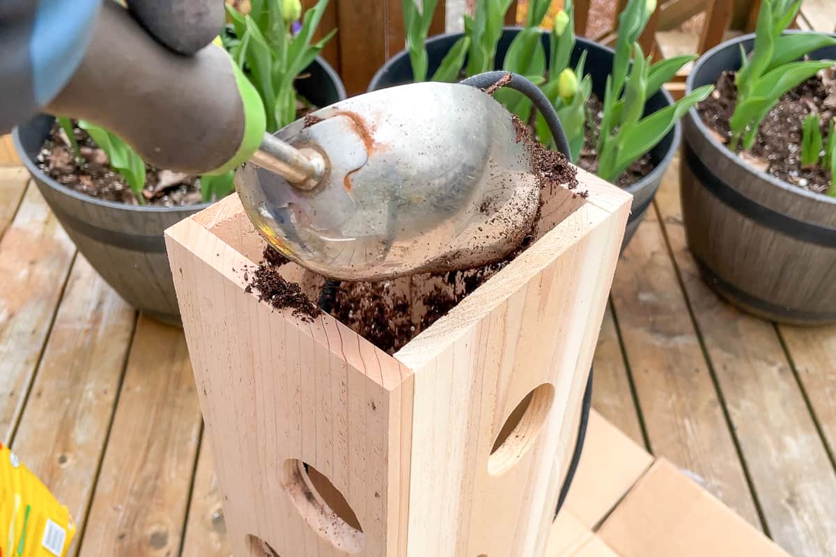 adding soil to the middle of the strawberry tower