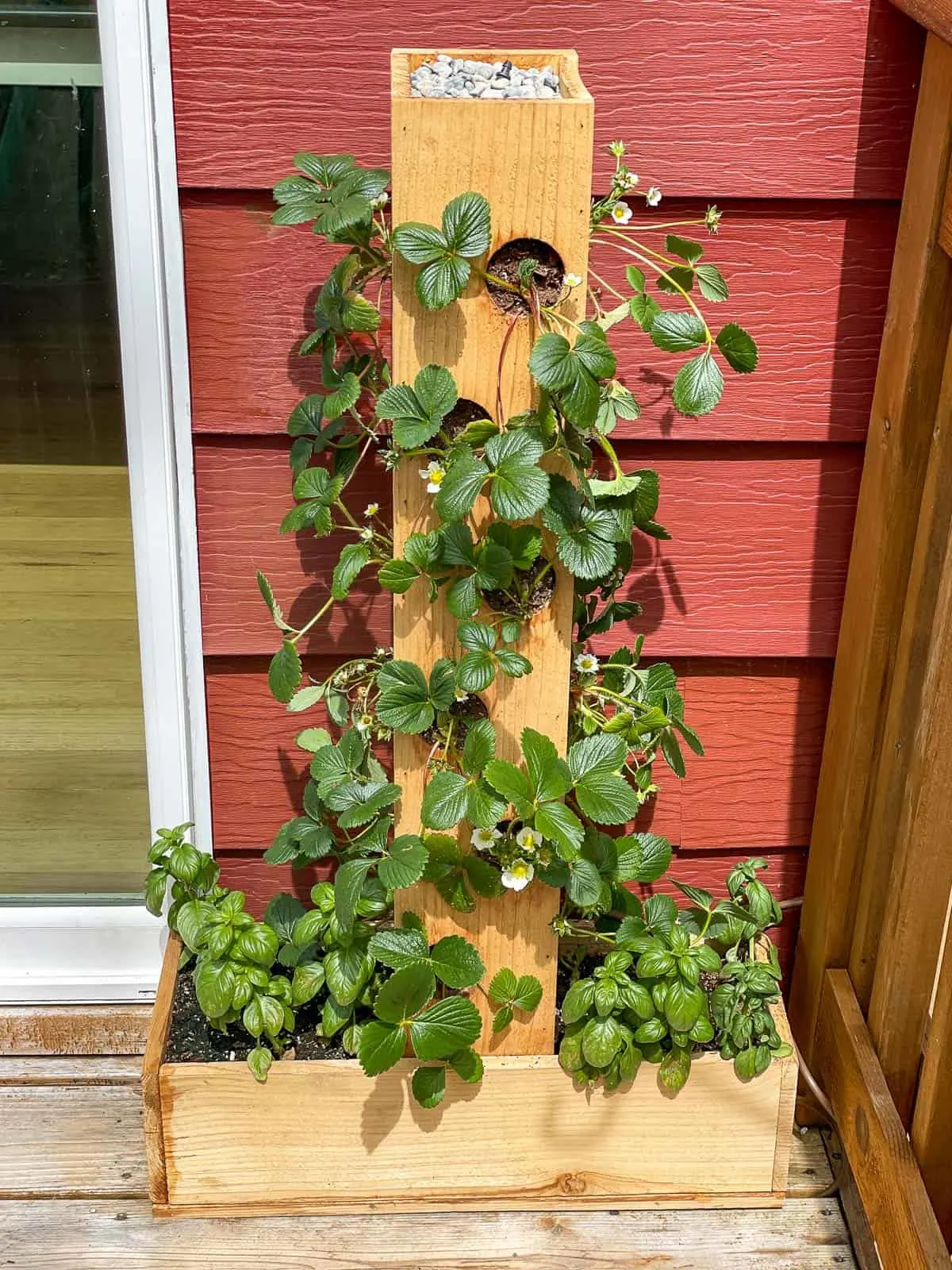 front view of strawberry planter next to sliding glass door to deck
