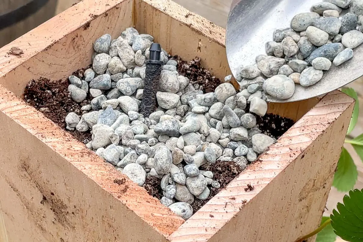 pea gravel on top of strawberry planter