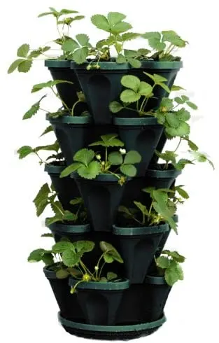 https://www.thehandymansdaughter.com/wp-content/uploads/2021/04/strawberry-planter.jpg.webp