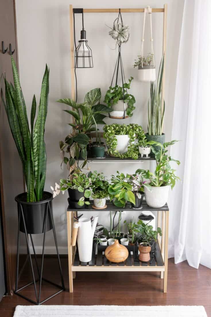30 Stunning Indoor Plant Stand Ideas For Lazy Housewife - Welcome to Esshelf