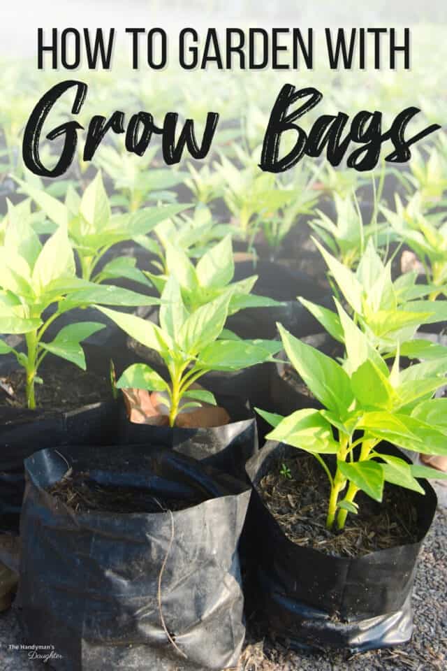 How to Use Grow Bags For Gardening The Handyman's Daughter