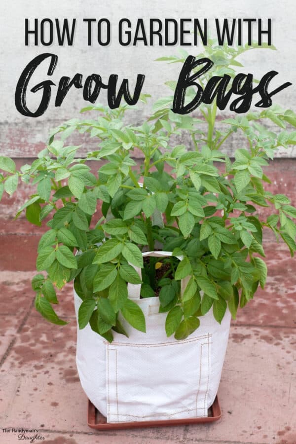 How to Use Grow Bags For Gardening The Handyman's Daughter