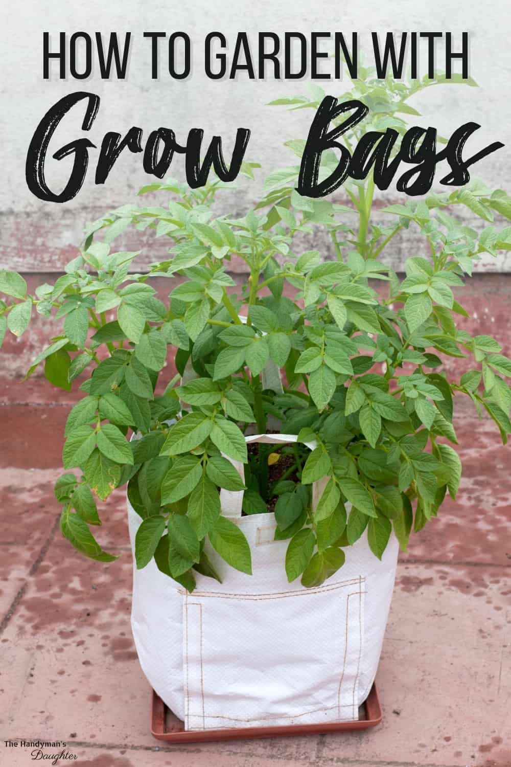 How to use grow bags