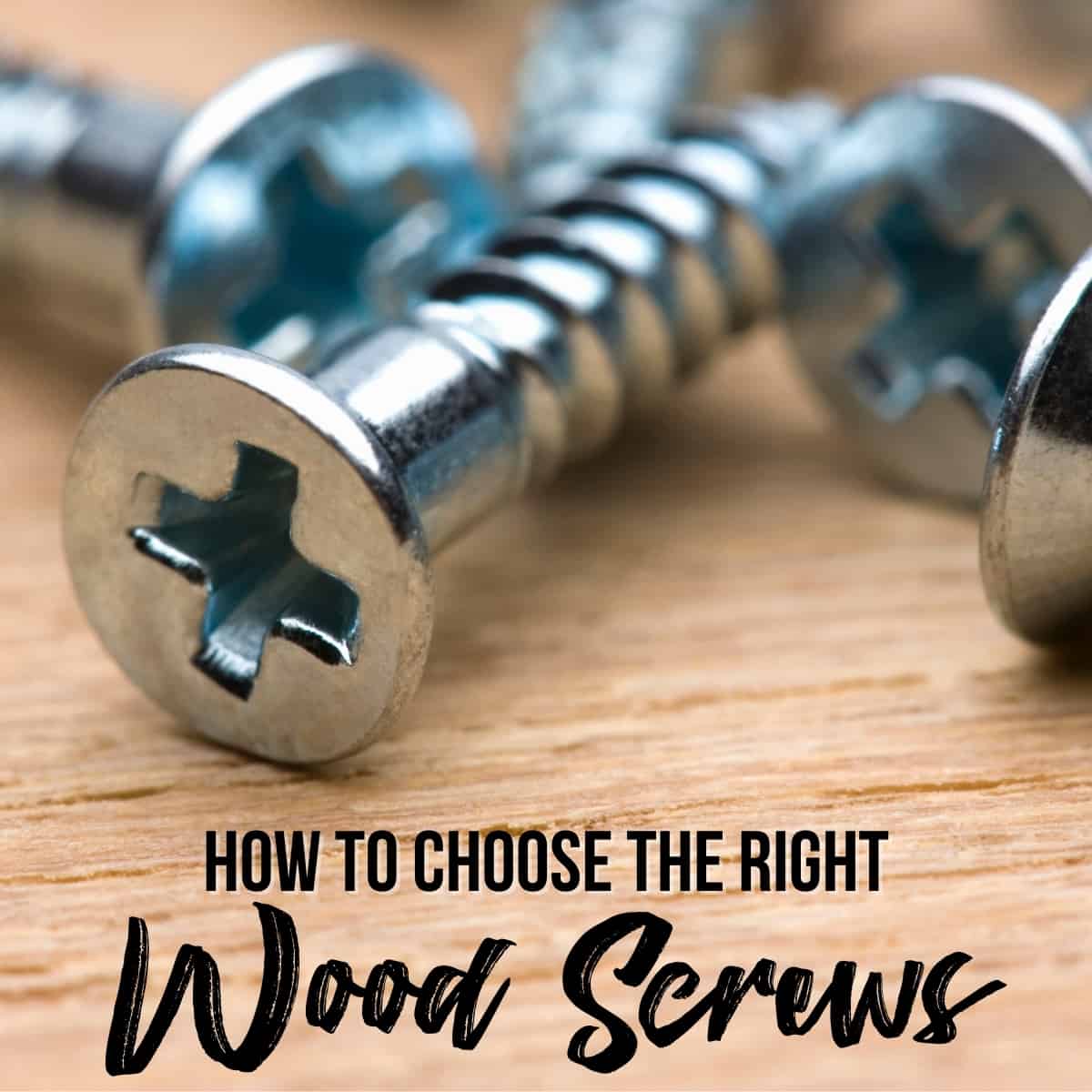 Types of Wood Screws and How to Use Them - The Handyman's Daughter