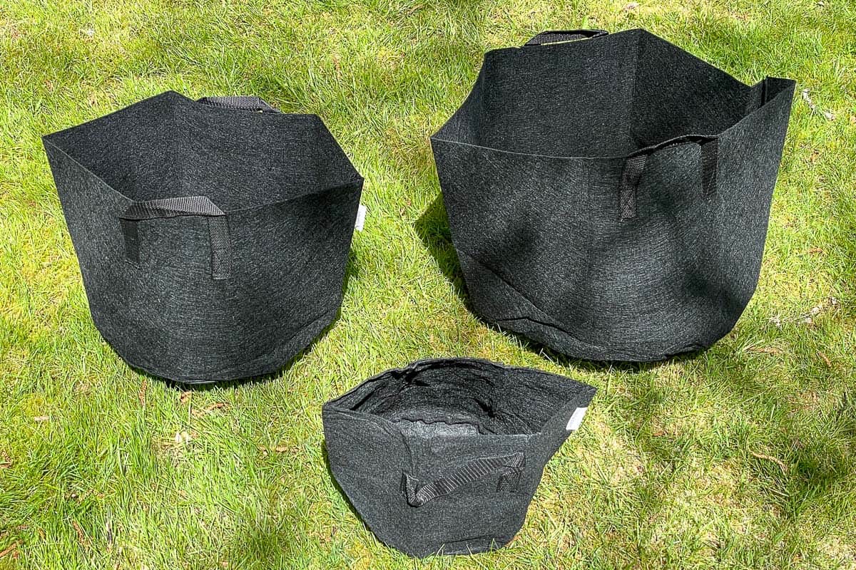different sizes of grow bags