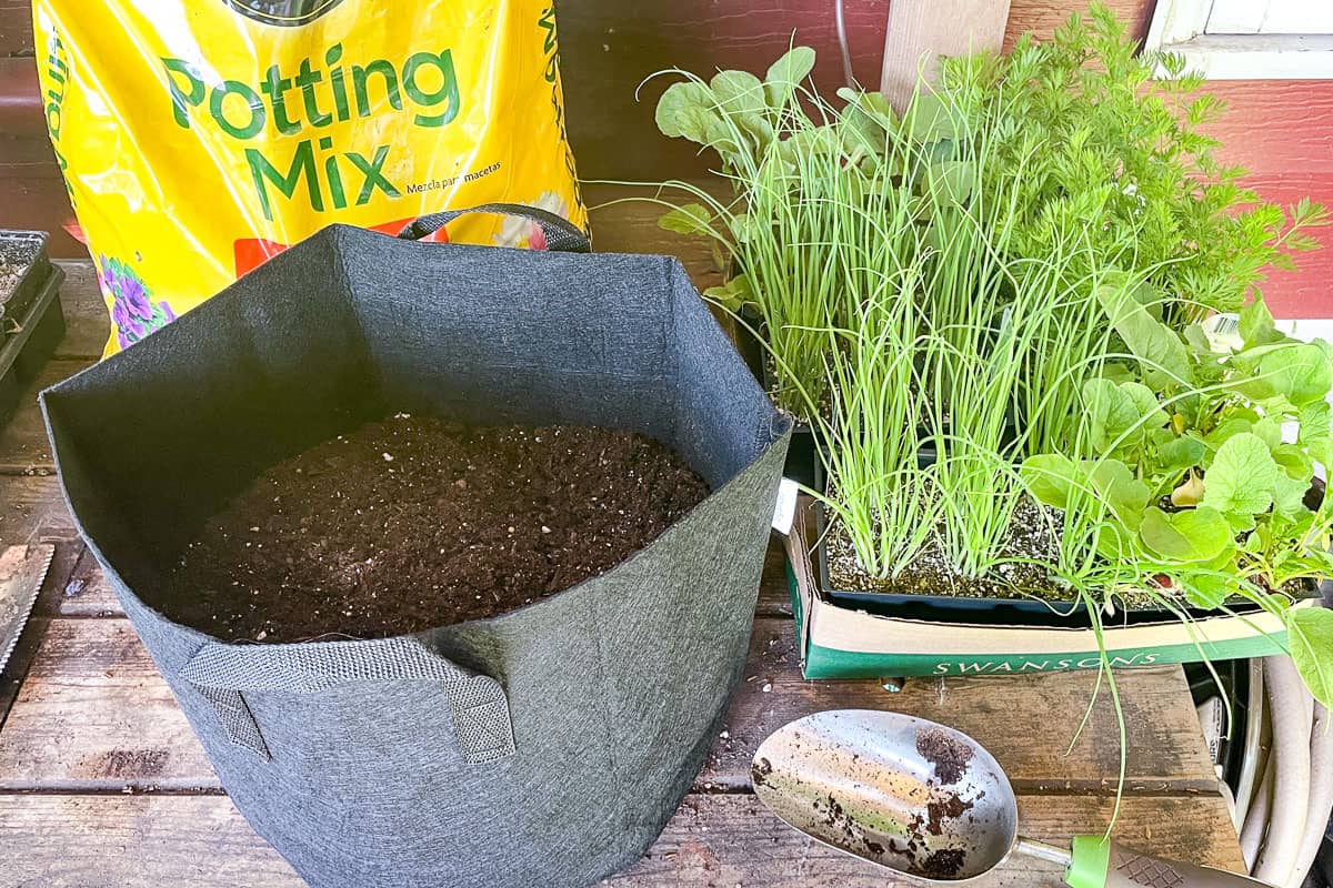 potting mix in grow bag