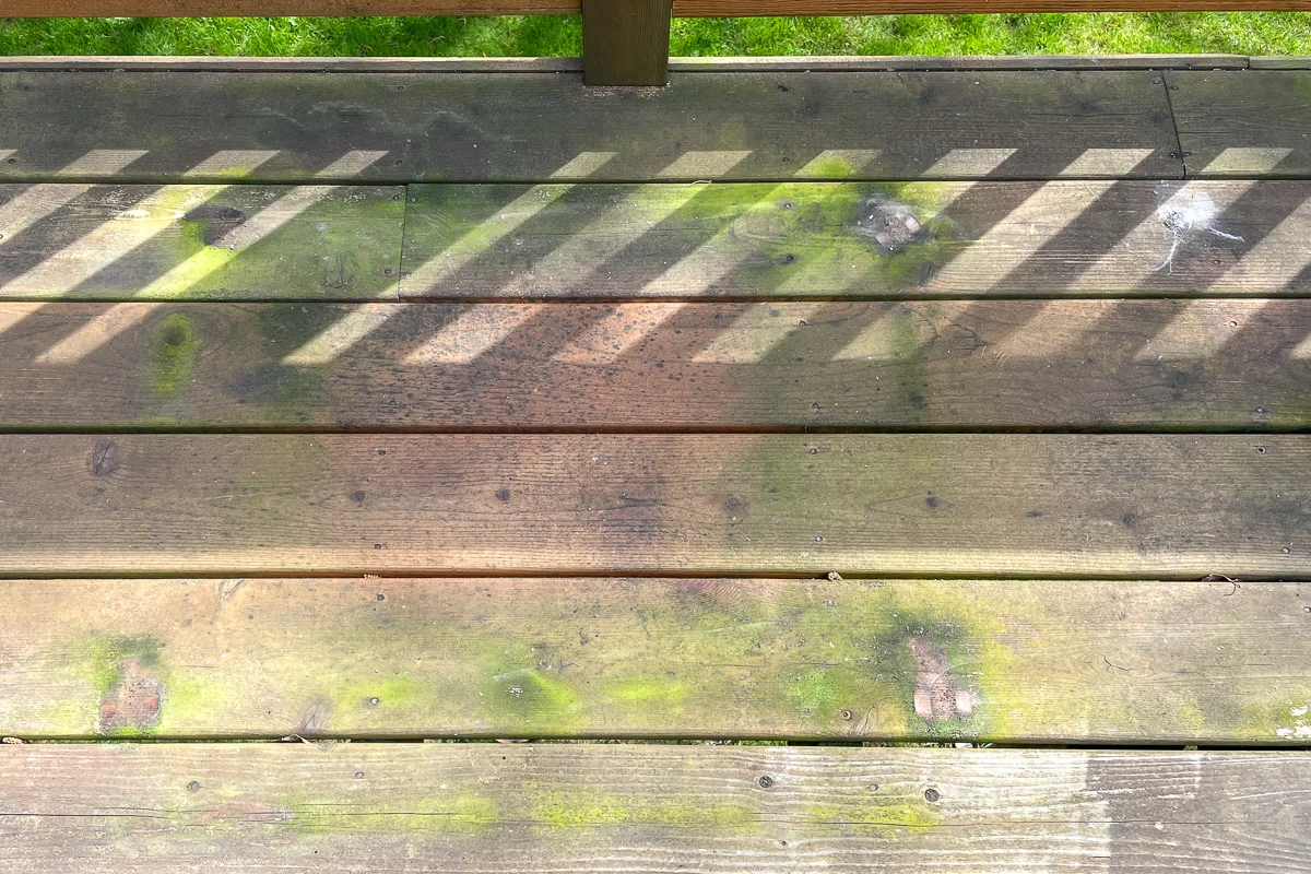 green, mildewed deck before cleaning