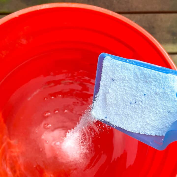 Homemade Deck Cleaner [Safe for Plants & Pets] The Handyman's Daughter