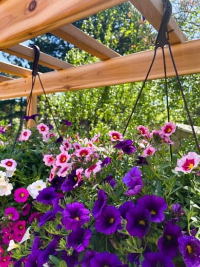 DIY Outdoor Plant Stand with Arbor - The Handyman's Daughter