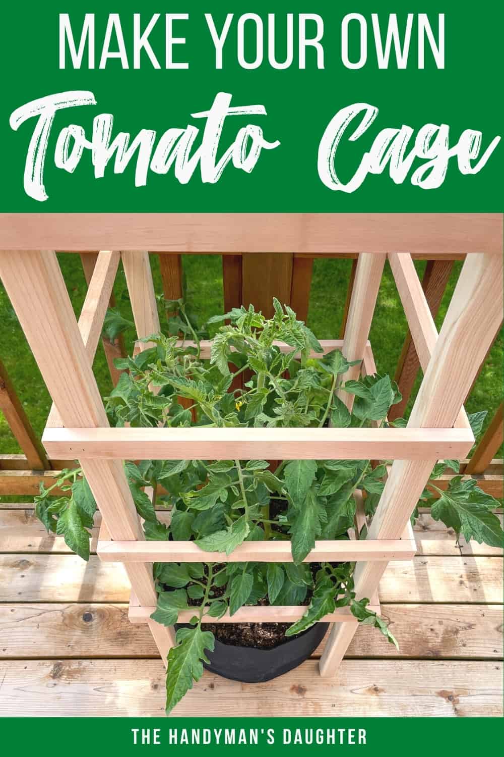 DIY tomato trellis with plans
