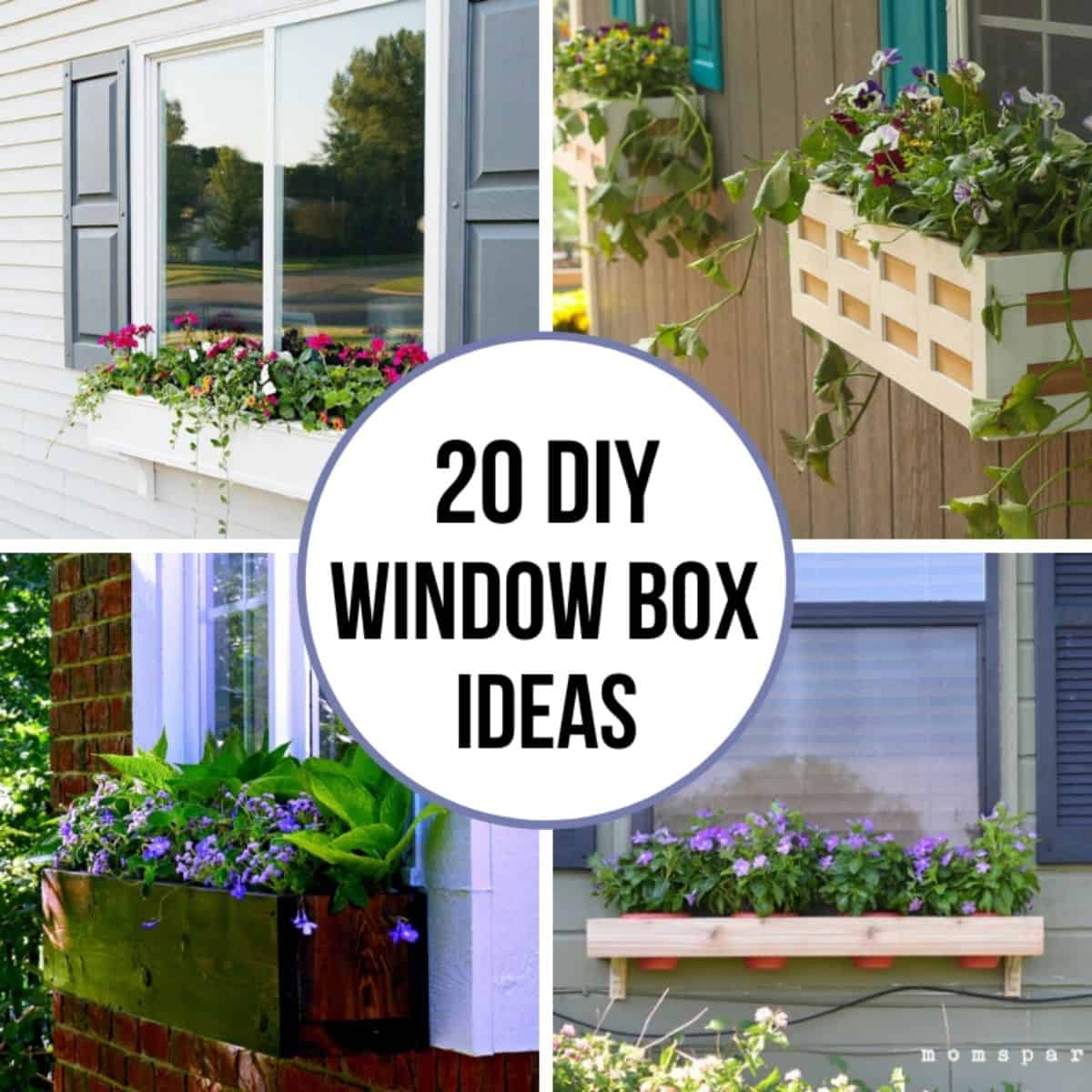 20 Gorgeous DIY Box Planter Ideas The Daughter