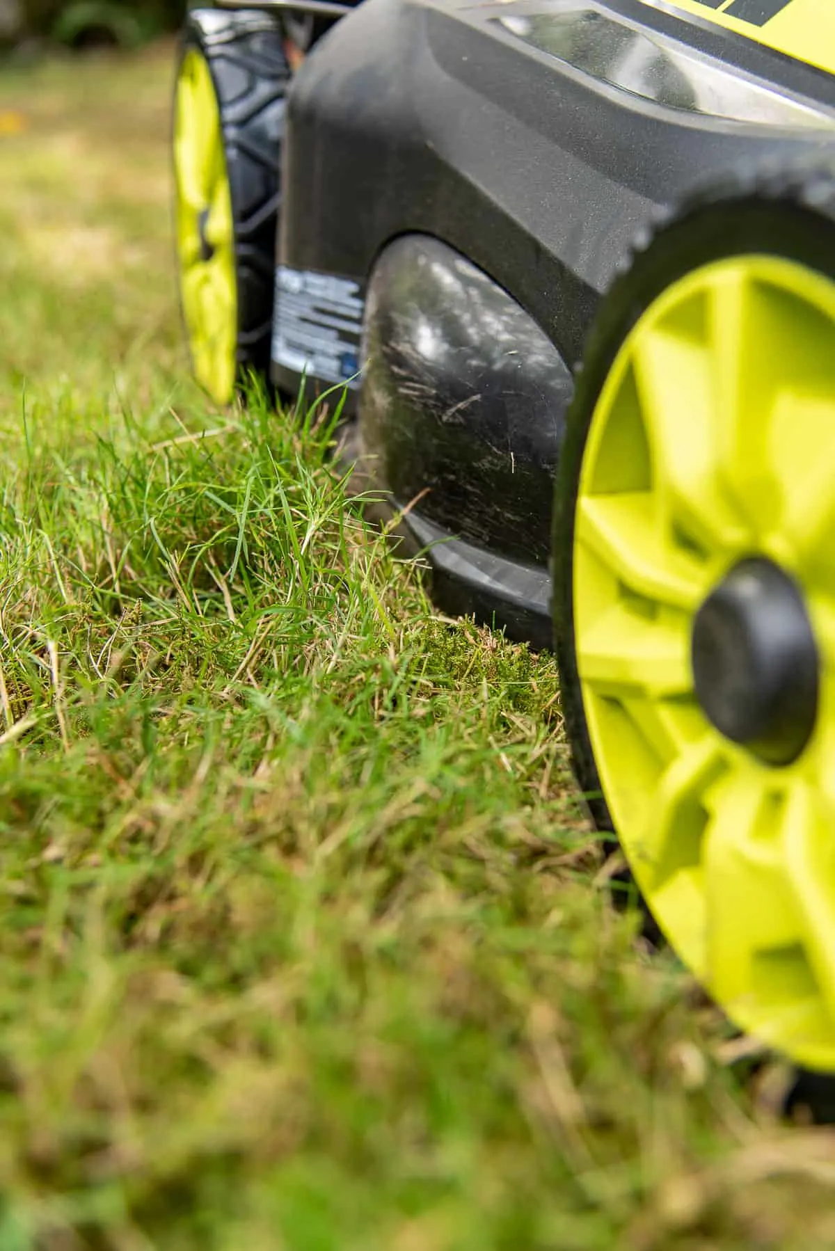 Ryobi self propelling electric lawn mower cutting tall grass