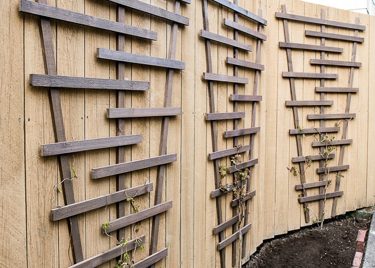 three DIY trellises on fence in front of garden space