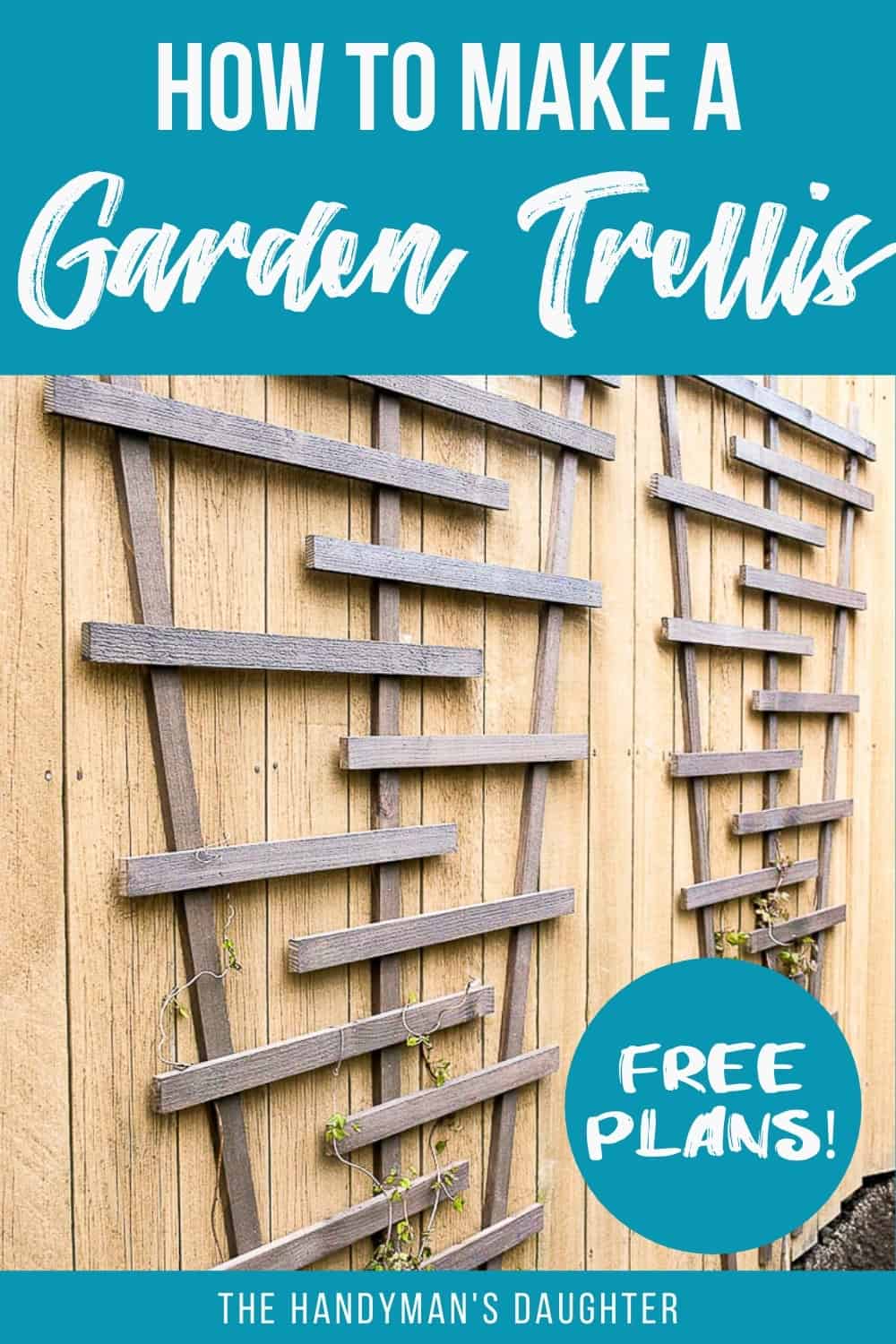 DIY Modern Trellis with Free Plans - The Handyman's Daughter