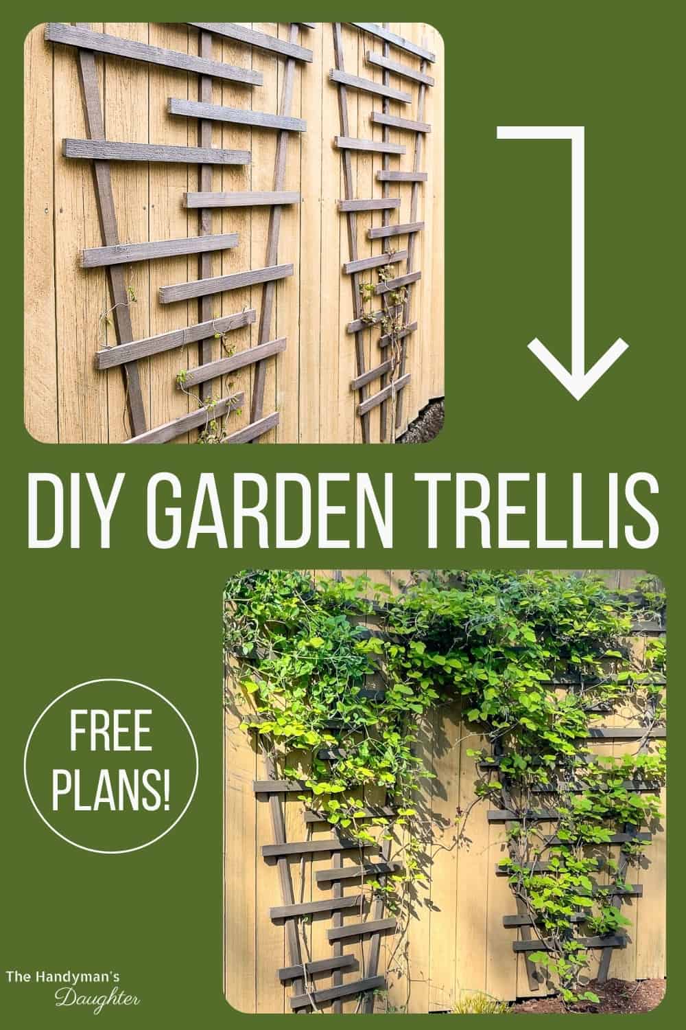 DIY garden trellis before and after