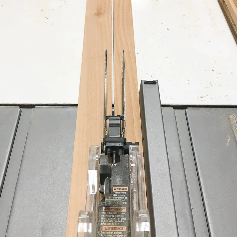 cutting strips for DIY garden trellis with a table saw