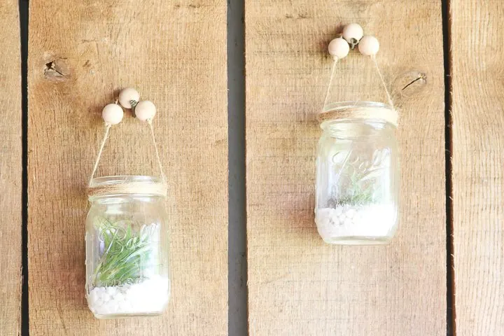 DIY Hanging Air Plants ⋆ Dream a Little Bigger