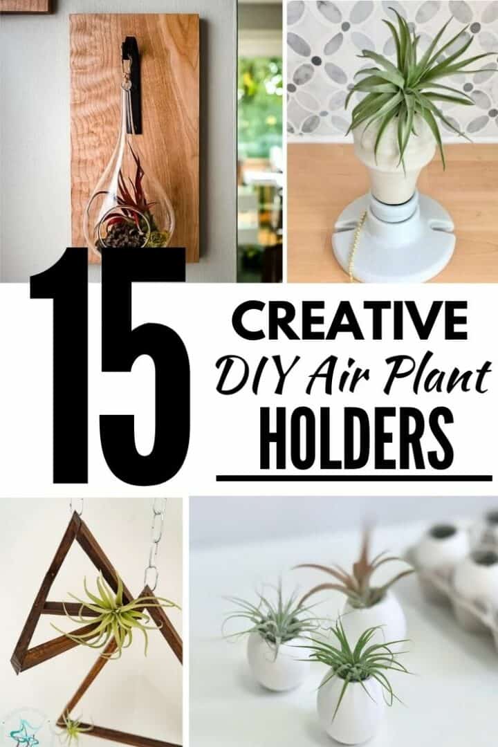 15 Creative DIY Air Plant Holder Ideas The Handyman's Daughter