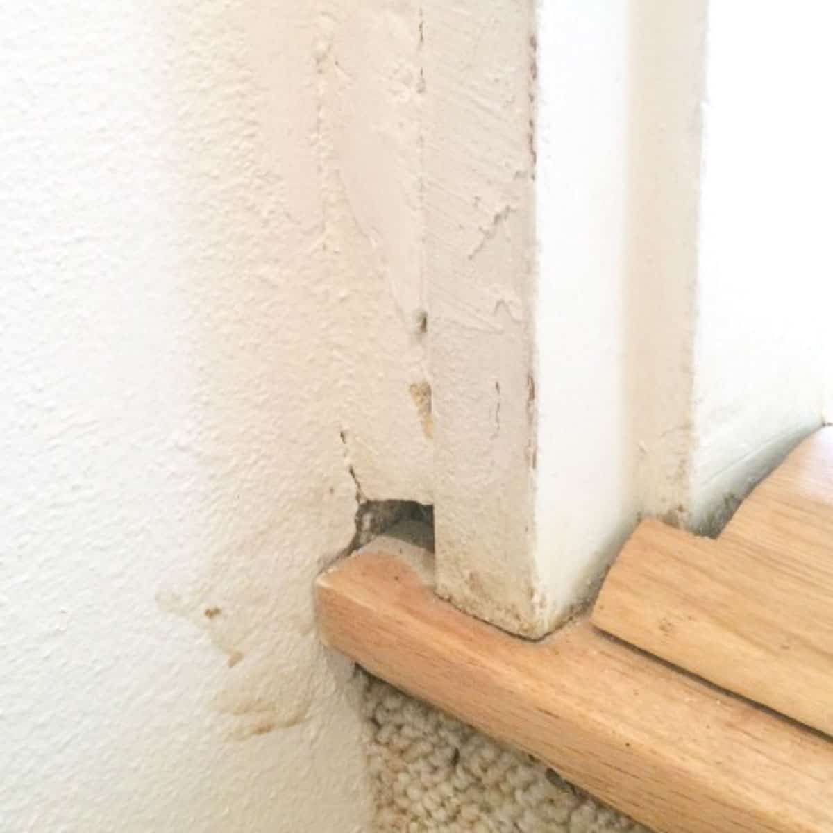 bottom of basement door without trim
