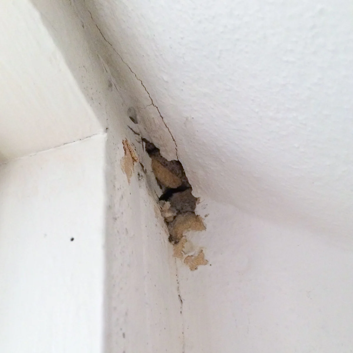upper corner of door frame with chipped drywall