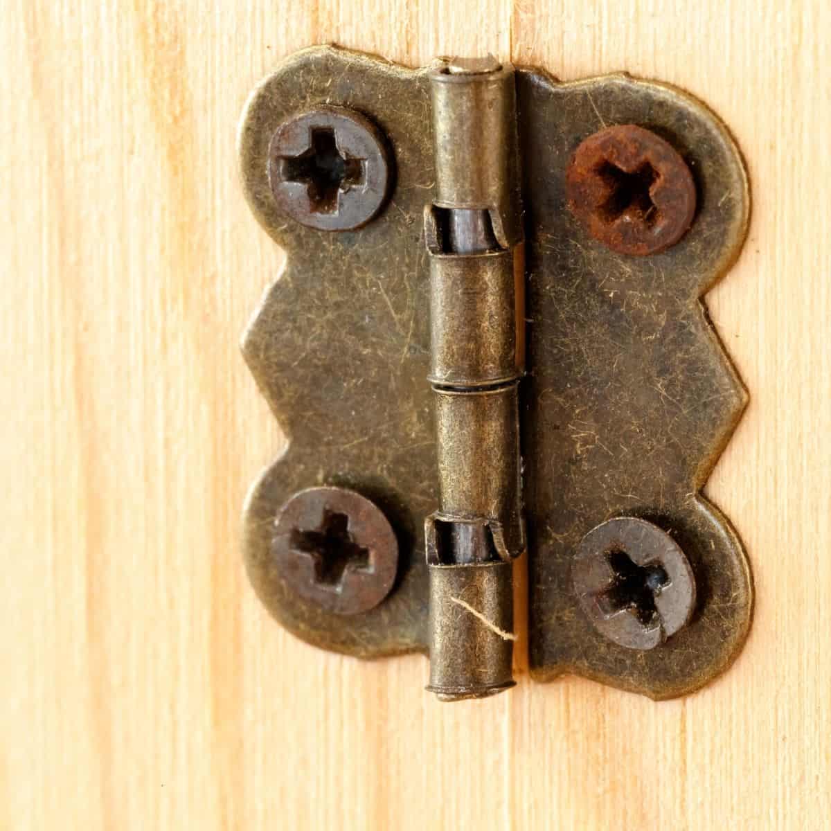 butterfly hinge