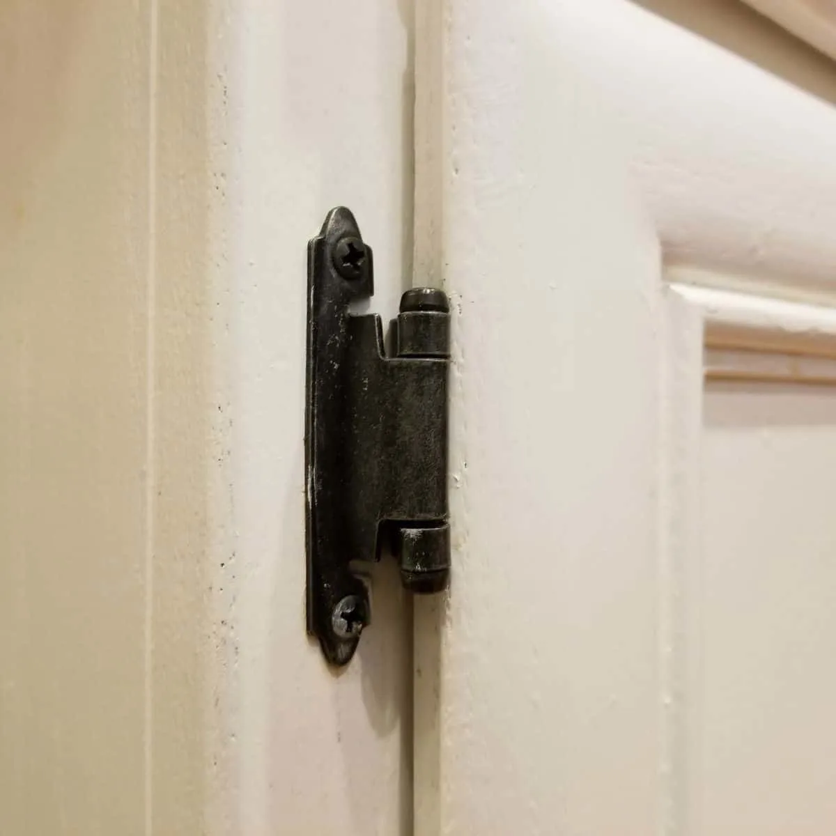semi-concealed hinge with half of the hinge visible from the outside