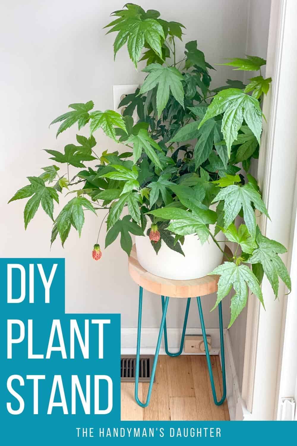 DIY hairpin leg plant stand