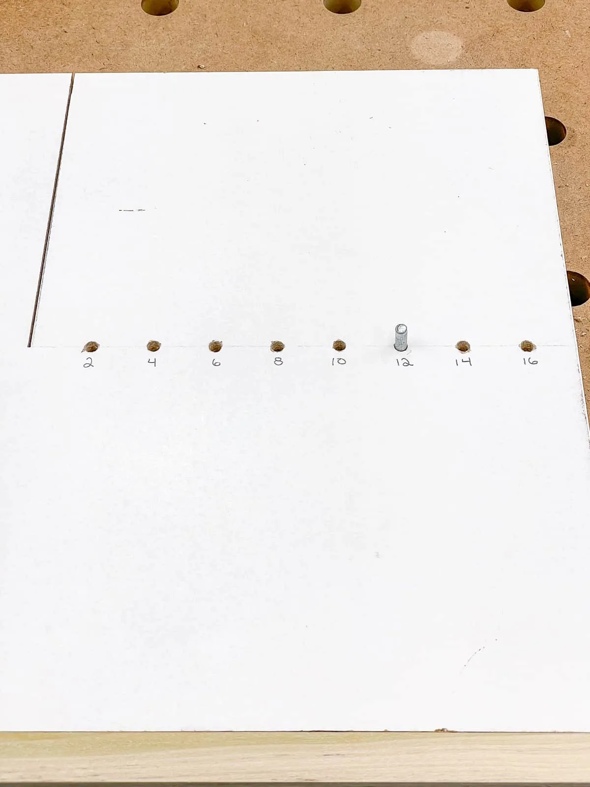 labeled circle cutting jig with various diameters