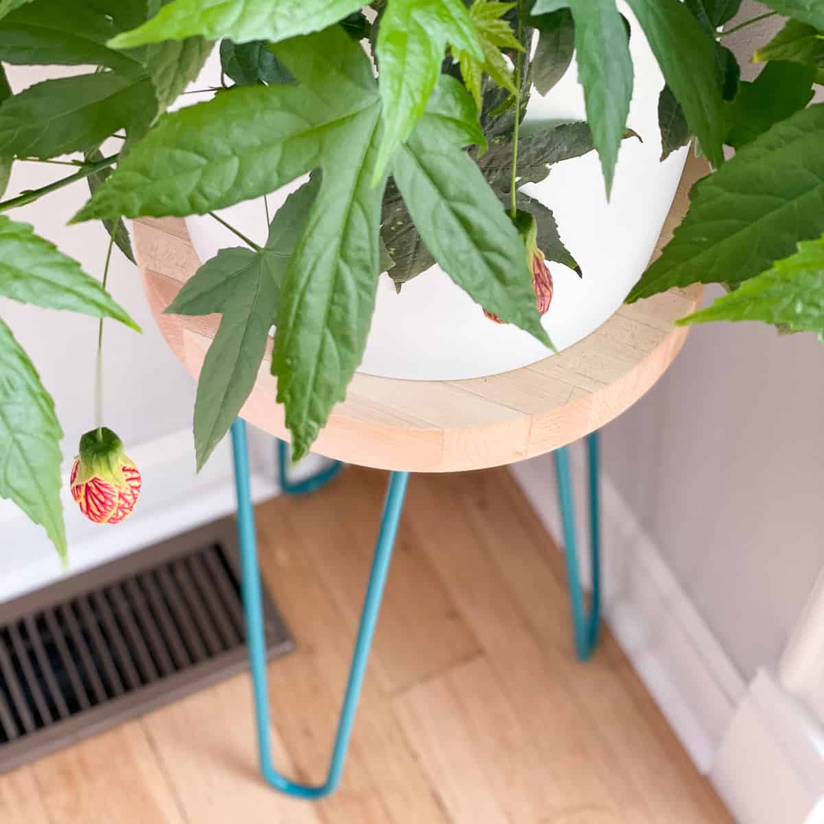 close up of flower hanging from plant on DIY plant stand