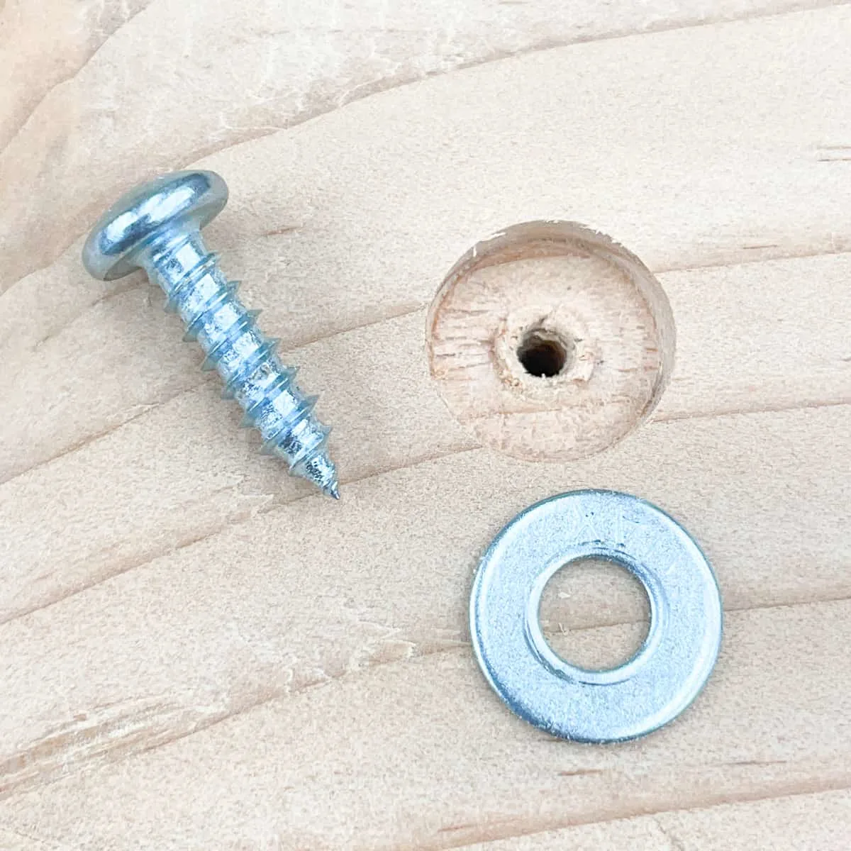 counterbore hole with washer and pan head screw