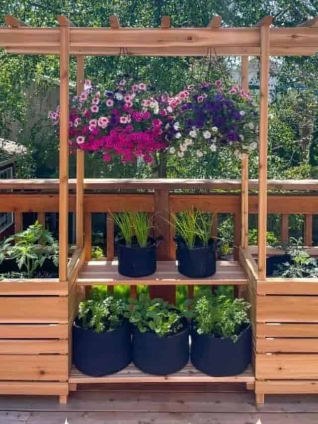 DIY OUTDOOR PLANT STAND WITH ARBOR The Handyman's Daughter